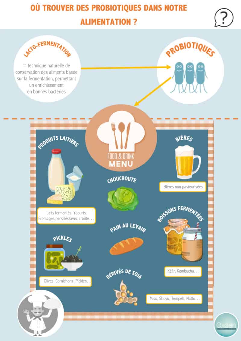 Infographie O Trouver Des Probiotiques Dans Dans Notre Alimentation