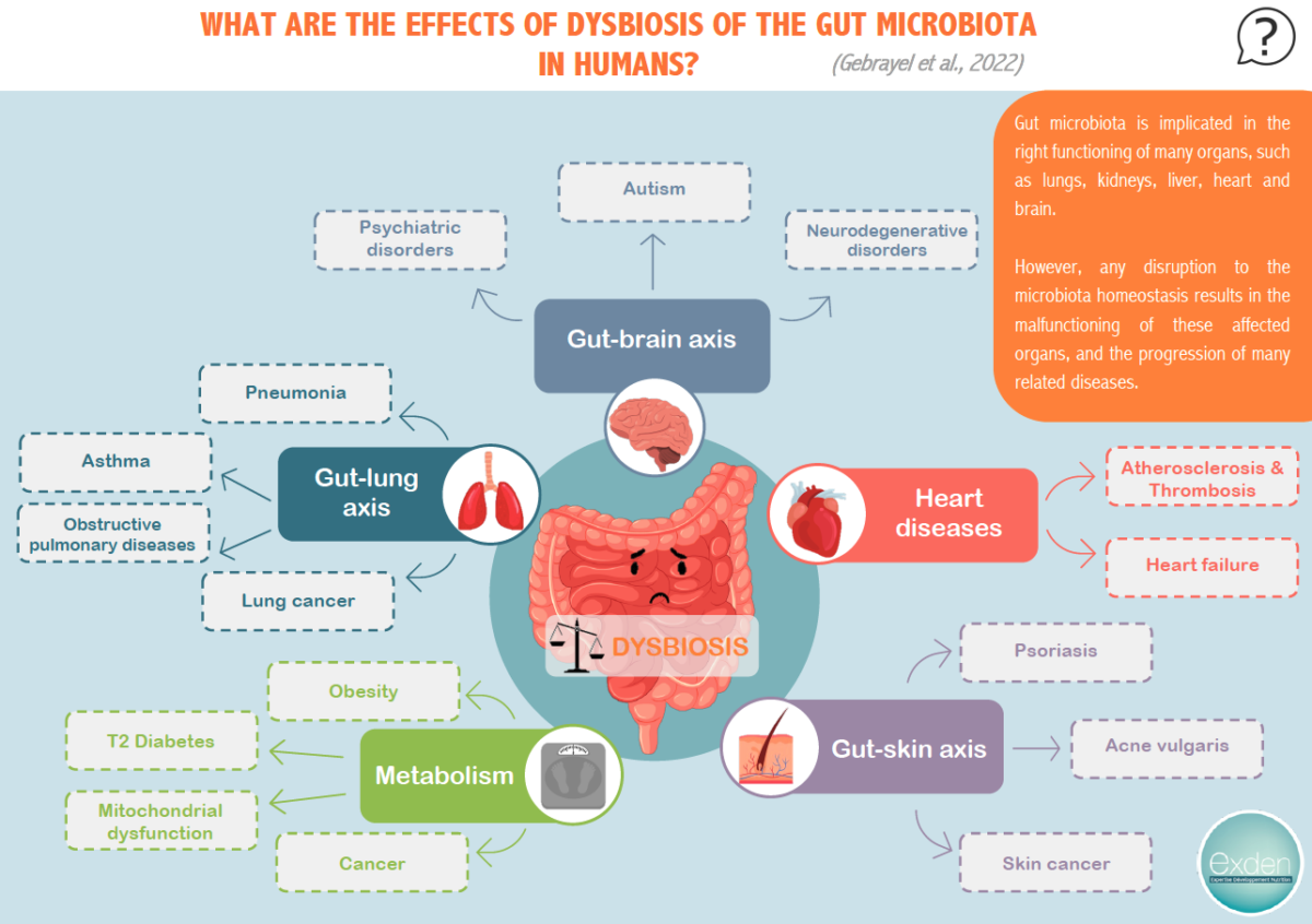 INFOGRAPHIC Consequences Of Microbiota Dysbiosis On Health Exden